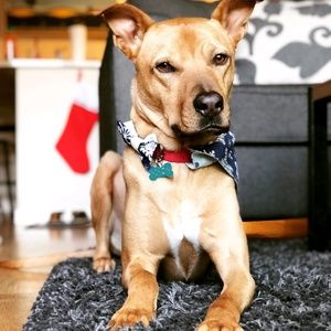 Meet your Posher, Cameron